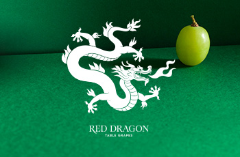 Red Dragón