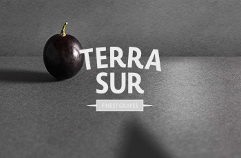 Terra Sur