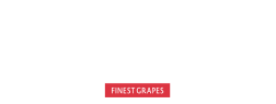 Terra Sur